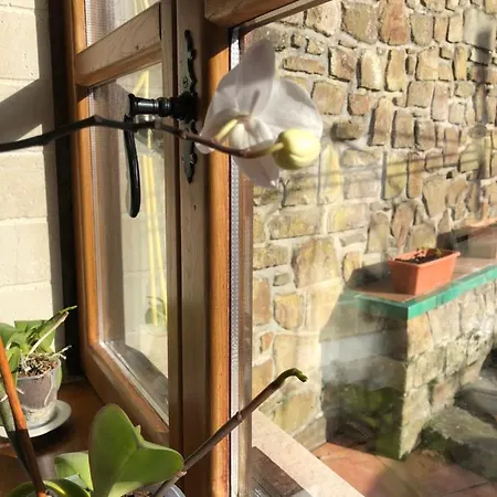 Tatil Evi Casa Laudina Y Armando Braniella